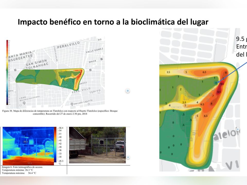 Urban garden; solutions: global warming, soil restoration & biodiversity in the face of the Anthropocene.