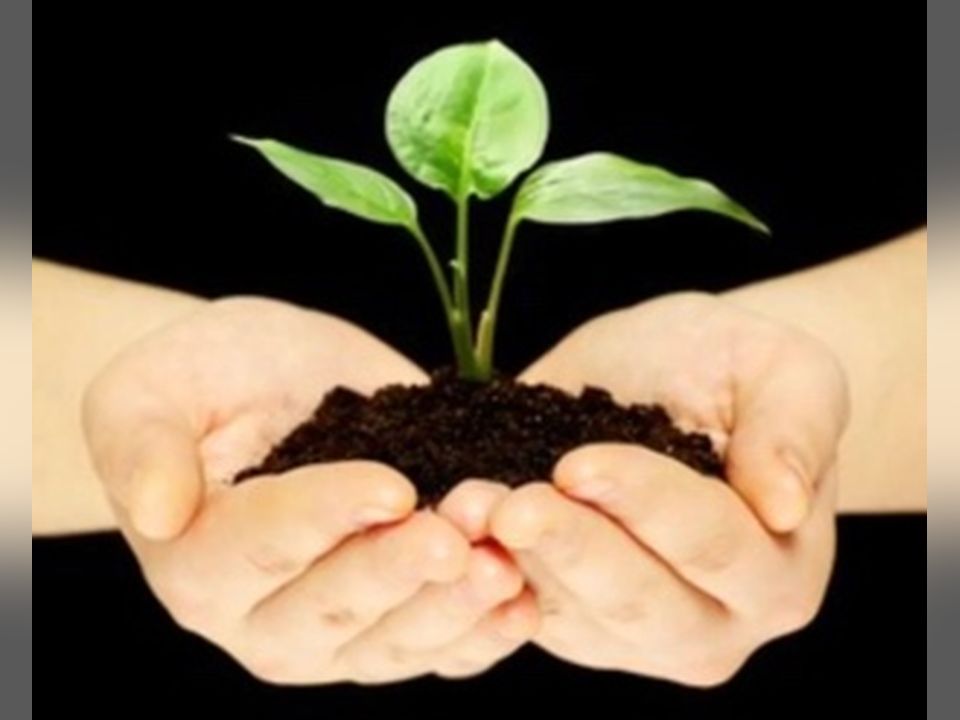 Community Climate Resilience & Action Initiative (CCRAI)
